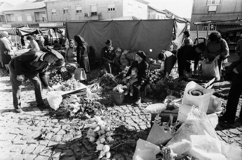 Feira da Malveira