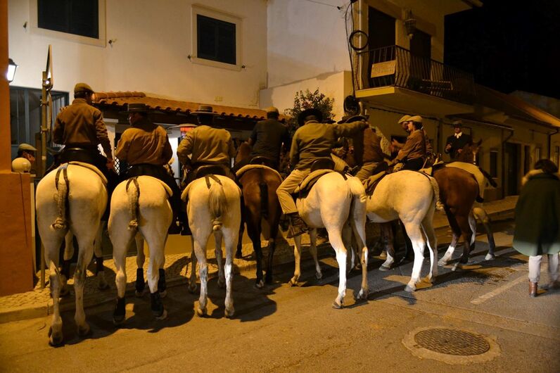 feira da golegã, feira nacional do cavalo, feira internacional do cavalo lusitano, feira de são martinho, golegã, cavalo