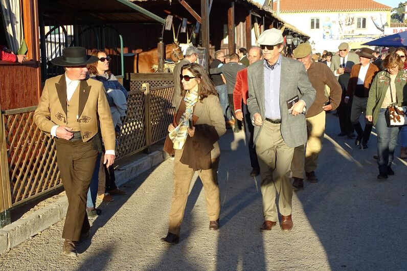 feira da golegã, feira nacional do cavalo, feira internacional do cavalo lusitano, feira de são martinho, golegã, cavalo