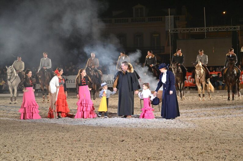 feira da golegã, feira nacional do cavalo, feira internacional do cavalo lusitano, feira de são martinho, golegã, cavalo