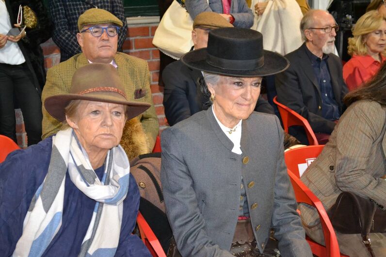 feira da golegã, feira nacional do cavalo, feira internacional do cavalo lusitano, feira de são martinho, golegã, cavalo