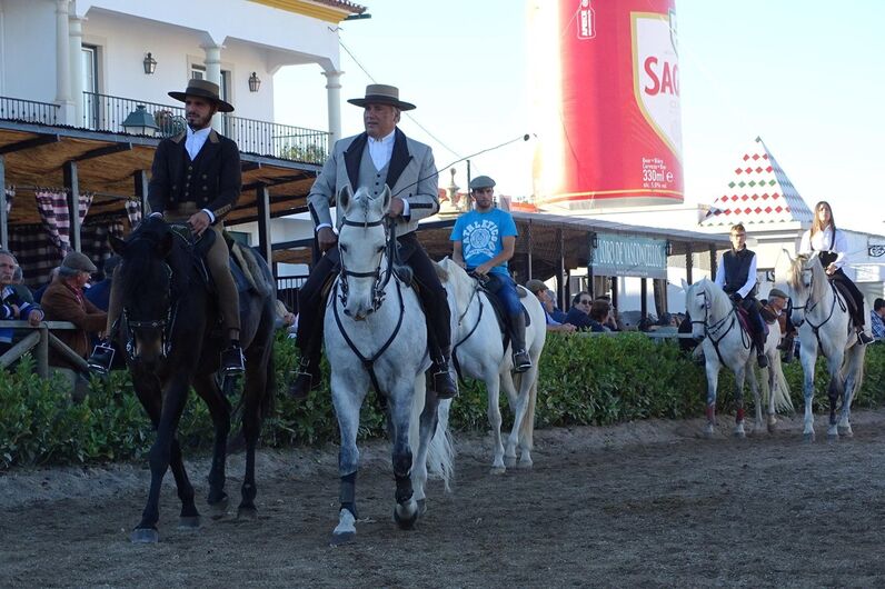 feira da golegã, feira nacional do cavalo, feira internacional do cavalo lusitano, feira de são martinho, golegã, cavalo