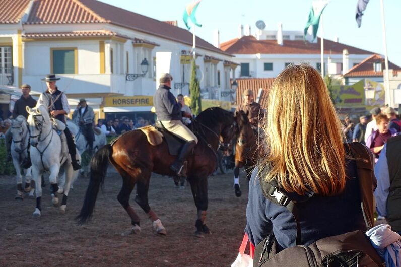 feira da golegã, feira nacional do cavalo, feira internacional do cavalo lusitano, feira de são martinho, golegã, cavalo