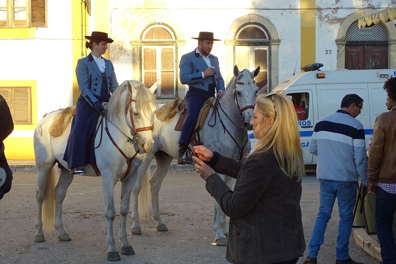 feira da golegã, feira nacional do cavalo, feira internacional do cavalo lusitano, feira de são martinho, golegã, cavalo