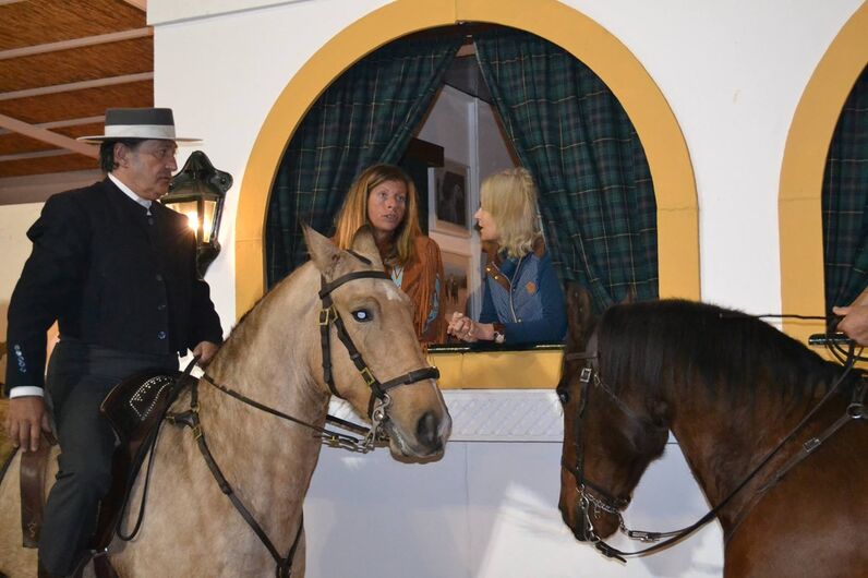 feira da golegã, feira nacional do cavalo, feira internacional do cavalo lusitano, feira de são martinho, golegã, cavalo