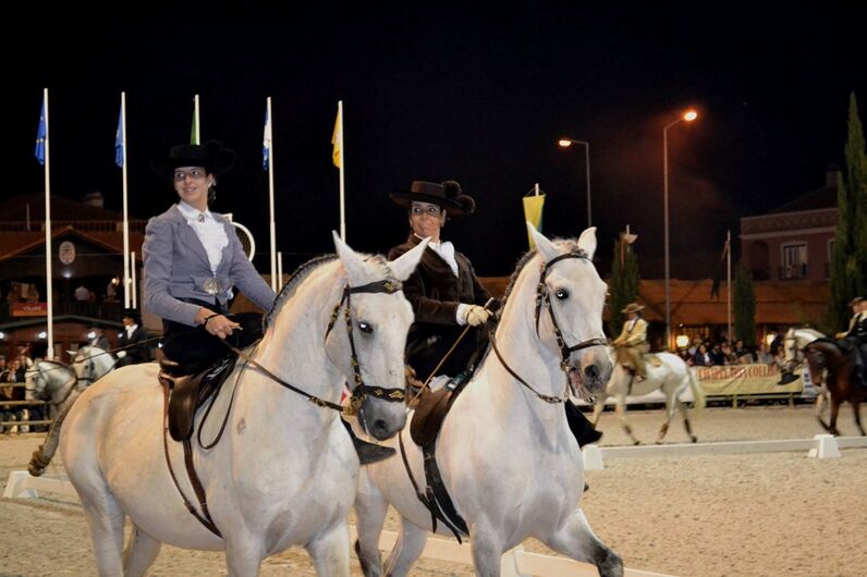 feira da golegã, feira nacional do cavalo, feira internacional do cavalo lusitano, feira de são martinho, golegã, cavalo
