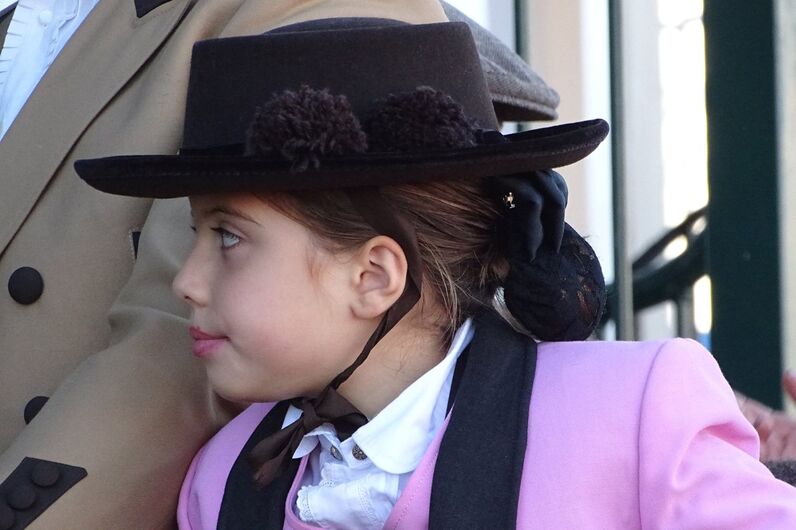 feira da golegã, feira nacional do cavalo, feira internacional do cavalo lusitano, feira de são martinho, golegã, cavalo