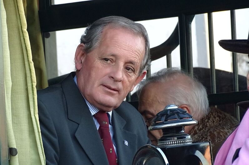 feira da golegã, feira nacional do cavalo, feira internacional do cavalo lusitano, feira de são martinho, golegã, cavalo