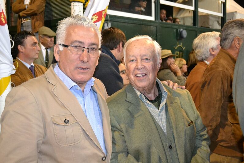 feira da golegã, feira nacional do cavalo, feira internacional do cavalo lusitano, feira de são martinho, golegã, cavalo