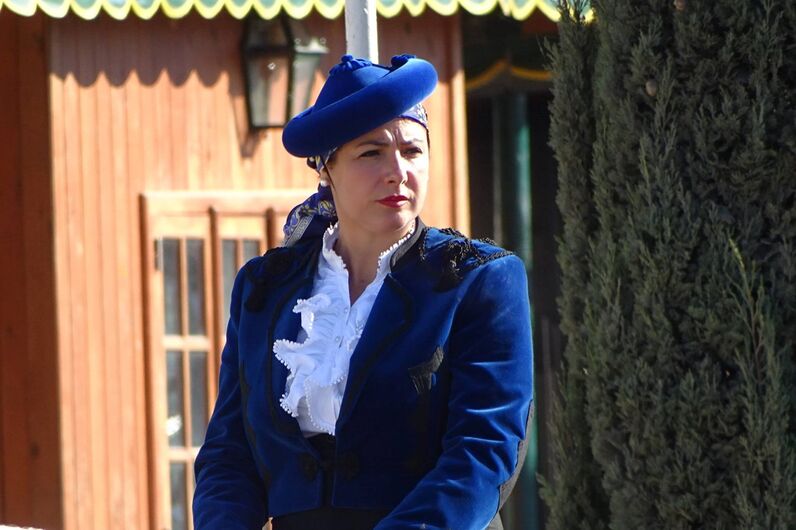 feira da golegã, feira nacional do cavalo, feira internacional do cavalo lusitano, feira de são martinho, golegã, cavalo