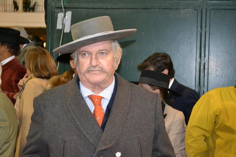 feira da golegã, feira nacional do cavalo, feira internacional do cavalo lusitano, feira de são martinho, golegã, cavalo