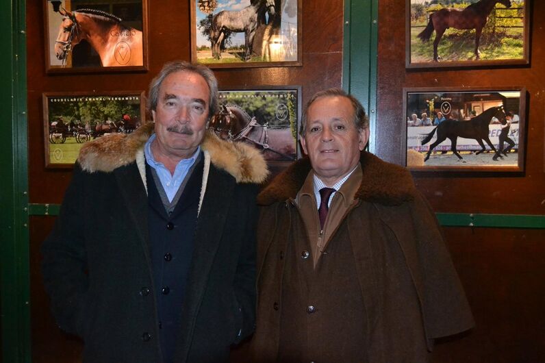 feira da golegã, feira nacional do cavalo, feira internacional do cavalo lusitano, feira de são martinho, golegã, cavalo