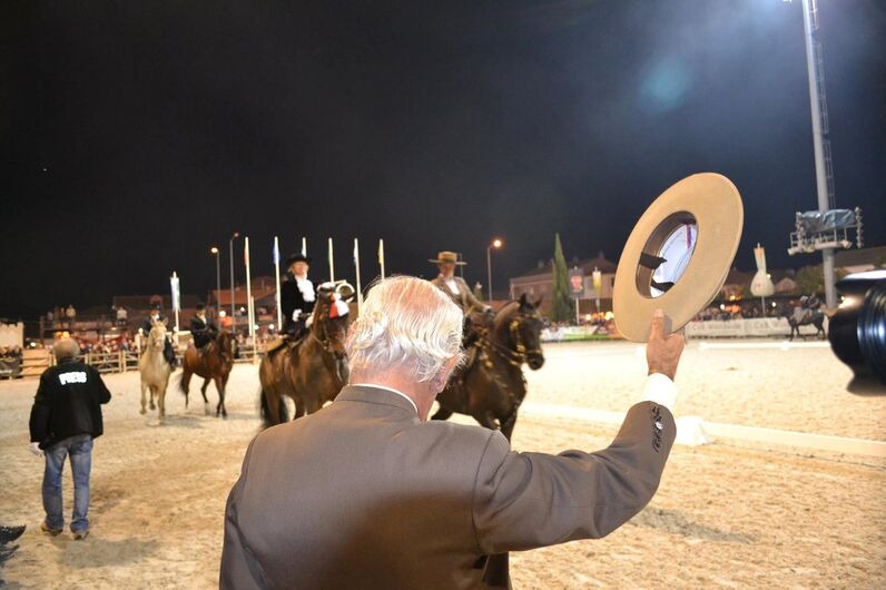 feira da golegã, feira nacional do cavalo, feira internacional do cavalo lusitano, feira de são martinho, golegã, cavalo