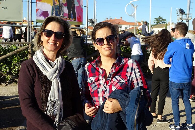 feira da golegã, feira nacional do cavalo, feira internacional do cavalo lusitano, feira de são martinho, golegã, cavalo