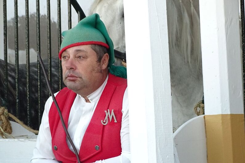 feira da golegã, feira nacional do cavalo, feira internacional do cavalo lusitano, feira de são martinho, golegã, cavalo