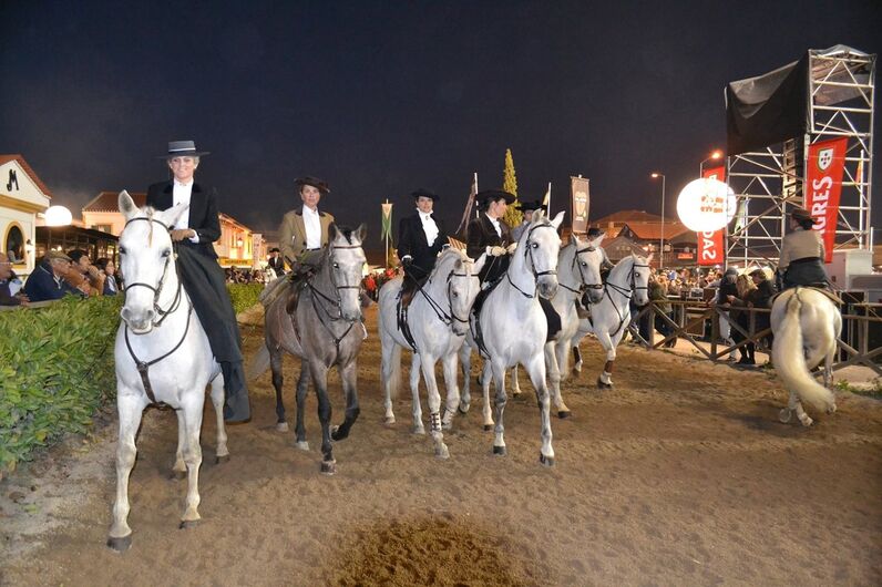 feira da golegã, feira nacional do cavalo, feira internacional do cavalo lusitano, feira de são martinho, golegã, cavalo