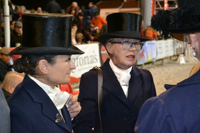 feira da golegã, feira nacional do cavalo, feira internacional do cavalo lusitano, feira de são martinho, golegã, cavalo