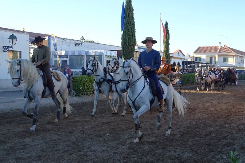 feira da golegã, feira nacional do cavalo, feira internacional do cavalo lusitano, feira de são martinho, golegã, cavalo