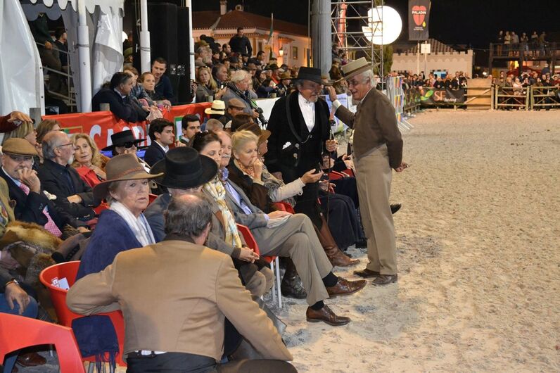 feira da golegã, feira nacional do cavalo, feira internacional do cavalo lusitano, feira de são martinho, golegã, cavalo