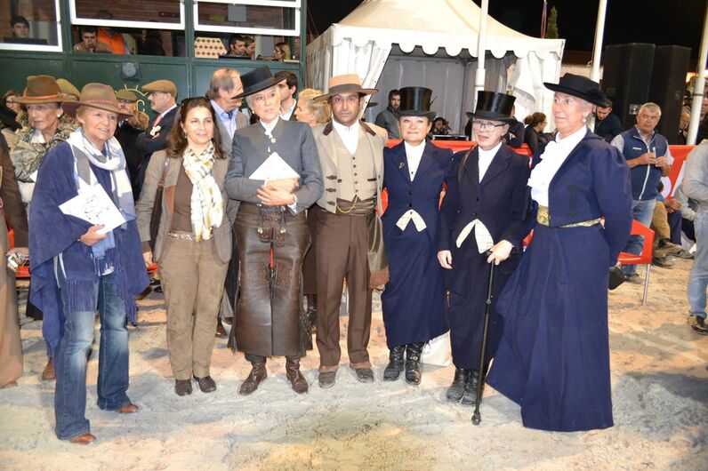 feira da golegã, feira nacional do cavalo, feira internacional do cavalo lusitano, feira de são martinho, golegã, cavalo