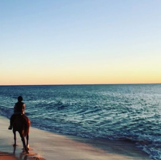 Madonna, pop, comporta, cavalo, praia