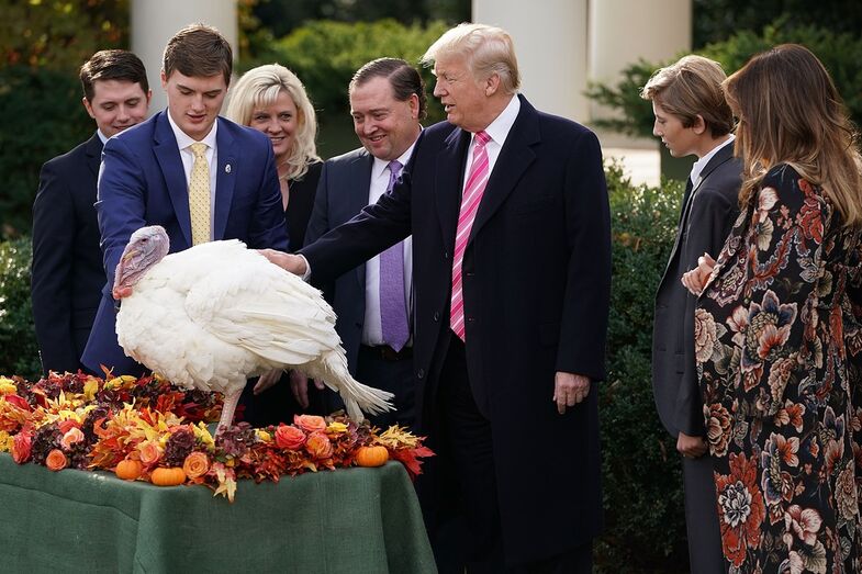 trump, trumps, thanksgiving