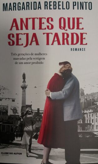 margarida rebelo pinto, livro, antes que seja tarde, romance