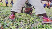 voluntariado moçambique 