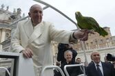 Papa Francisco