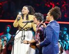 the voice