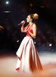 the voice
