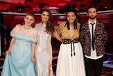 the voice