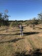 Monte Manuel Luís Goucha