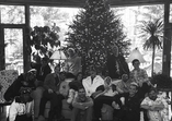 natal, estrelas, celebridades
