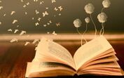 Livros, leitura, letras, biblioteca