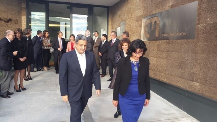 Raríssimas, Paula Brito e Costa