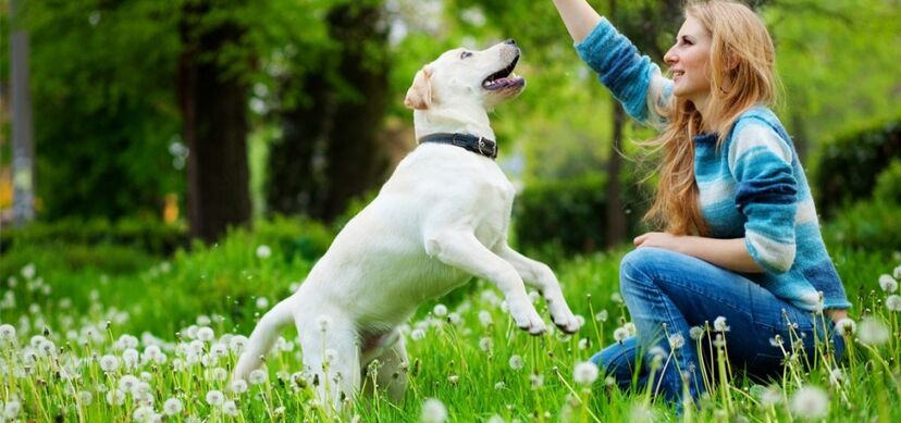 mulher, cão, mulher com cão