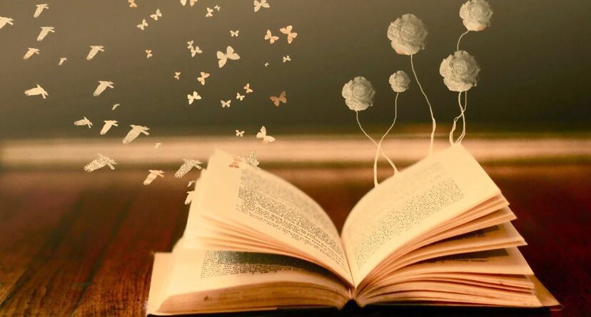 Livros, leitura, letras, biblioteca