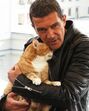 Antonio Banderas