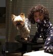 Ricardo Quaresma, Dafne, filhos, 