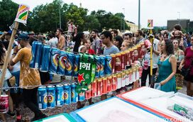 Carnaval de rua anima o Rio de Janeiro