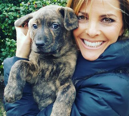 Sónia Araújo rendida à nova mascote da família: uma Castro Laboreiro