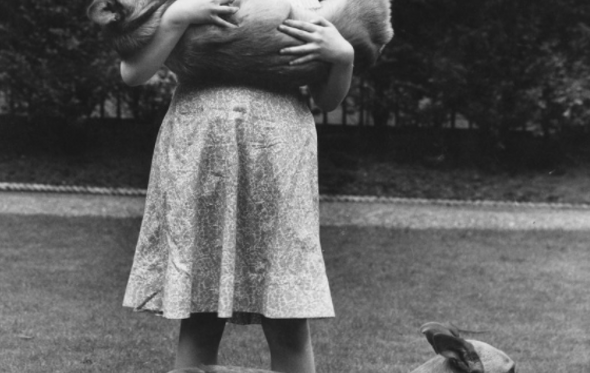 Charlotte, Isabel II 