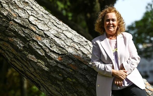 Dulce Rocha, Instituto de apoio à Criança
