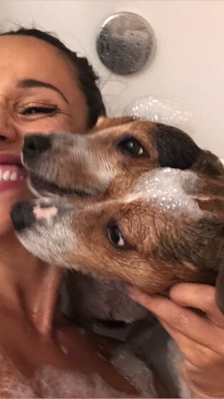 Rita Pereira, TVI, cadelas, A Herdeira