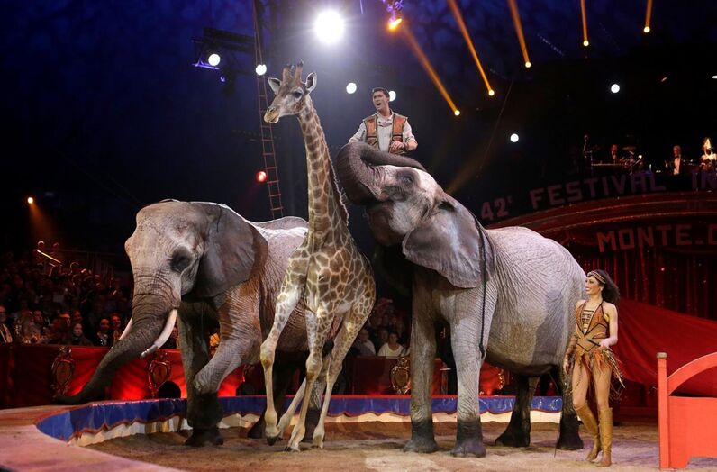 circo mónaco