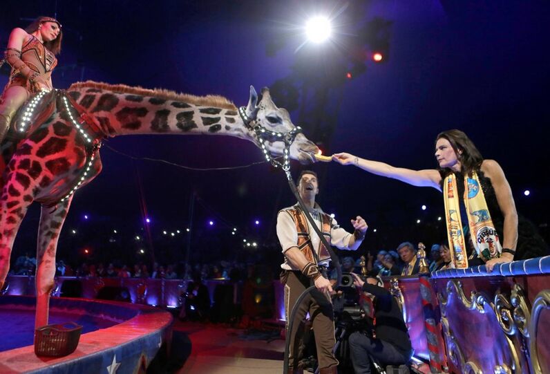 circo mónaco
