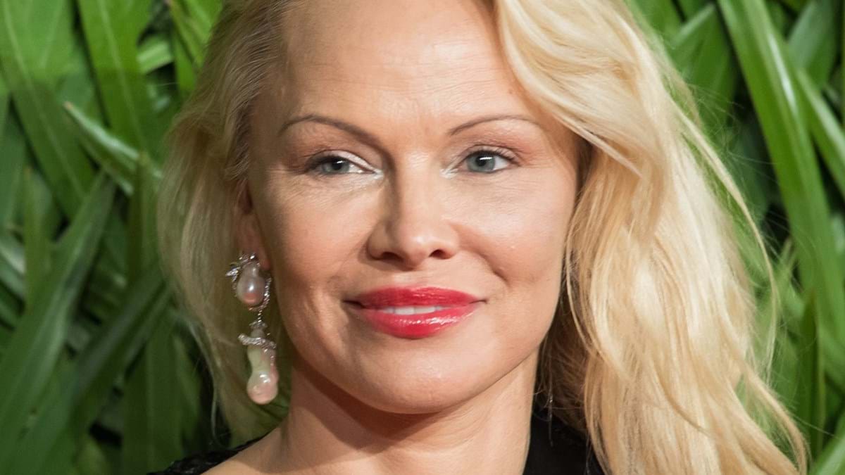 Aos 50 anos, Pamela Anderson assume que sofre com a menopausa - Mundo -  FLASH!