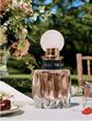 l'eau rosée, miu miu