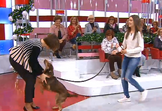 fátima lopes, cão, brownie, beatriz, filha